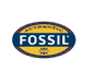 fossil Schmuck