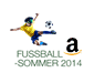 Fussball sommer 2014 